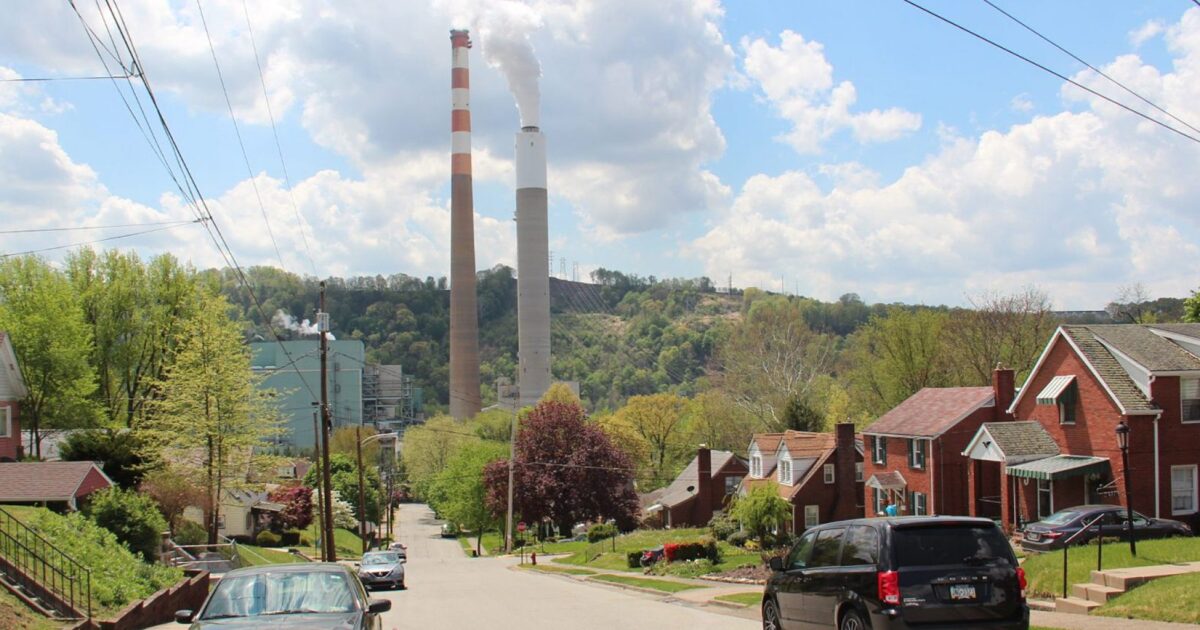 Wolf Needs To Score Bigger Climate Victories, Activists Say 1 Wolf Needs To Score Bigger Climate Victories, Activists Say