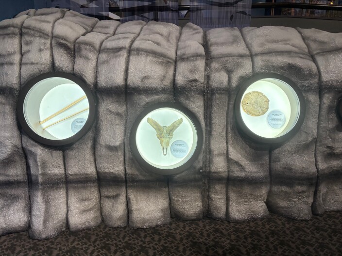 An ice patch exhibit at a natural history museum in Cody shows objects that were frozen in the ice.