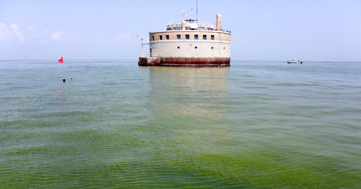NOAA Forecasts Mild Algal Blooms In Lake Erie For Second Consecutive Year 1 NOAA Forecasts Mild Algal Blooms In Lake Erie For Second Consecutive Year