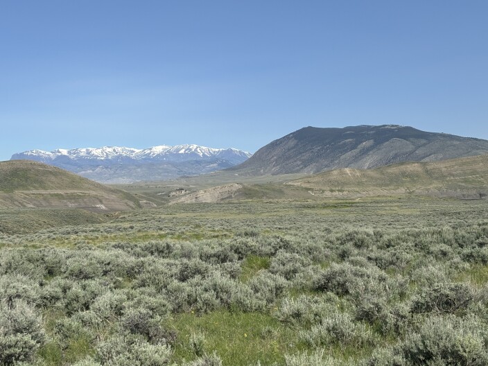 A sagebrush field gives way to rolling hills in the midground, and snow capped peaks in the background.