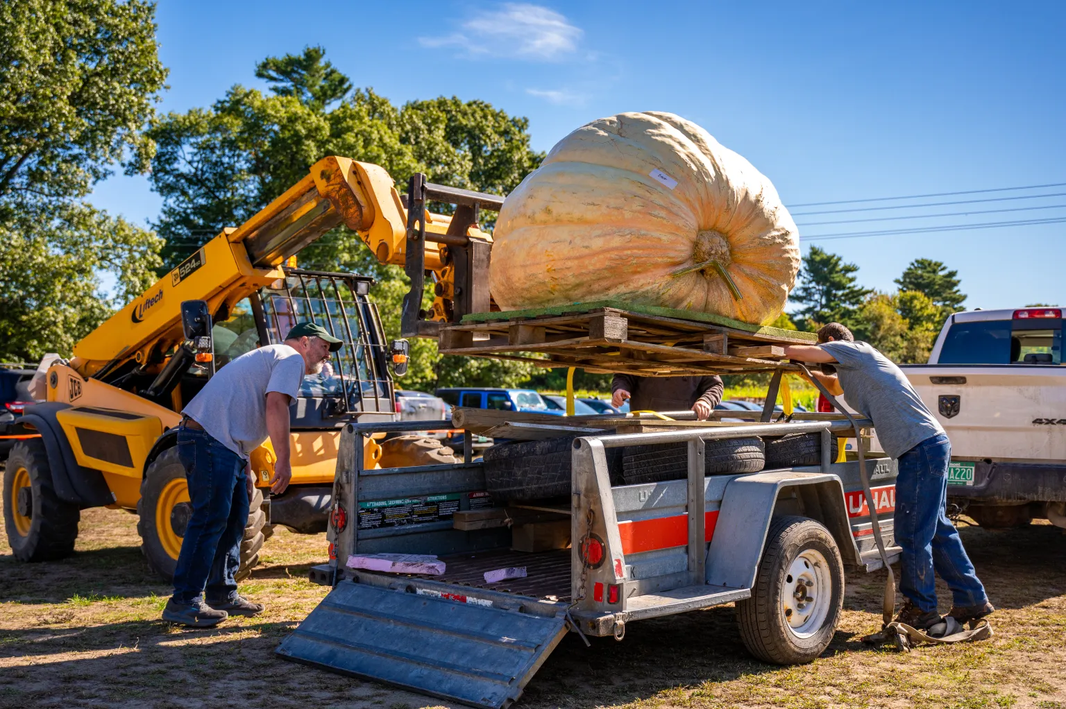 Giant pumpkin squashes past record at Sam Mazza's weigh-off