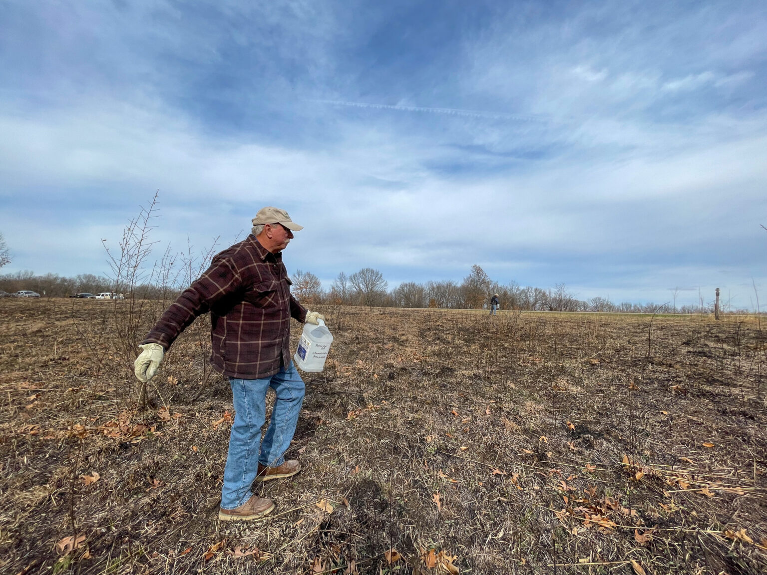 'Everybody can do their part': Naturalists working to reestablish prairies in Missouri - Vimarsana News