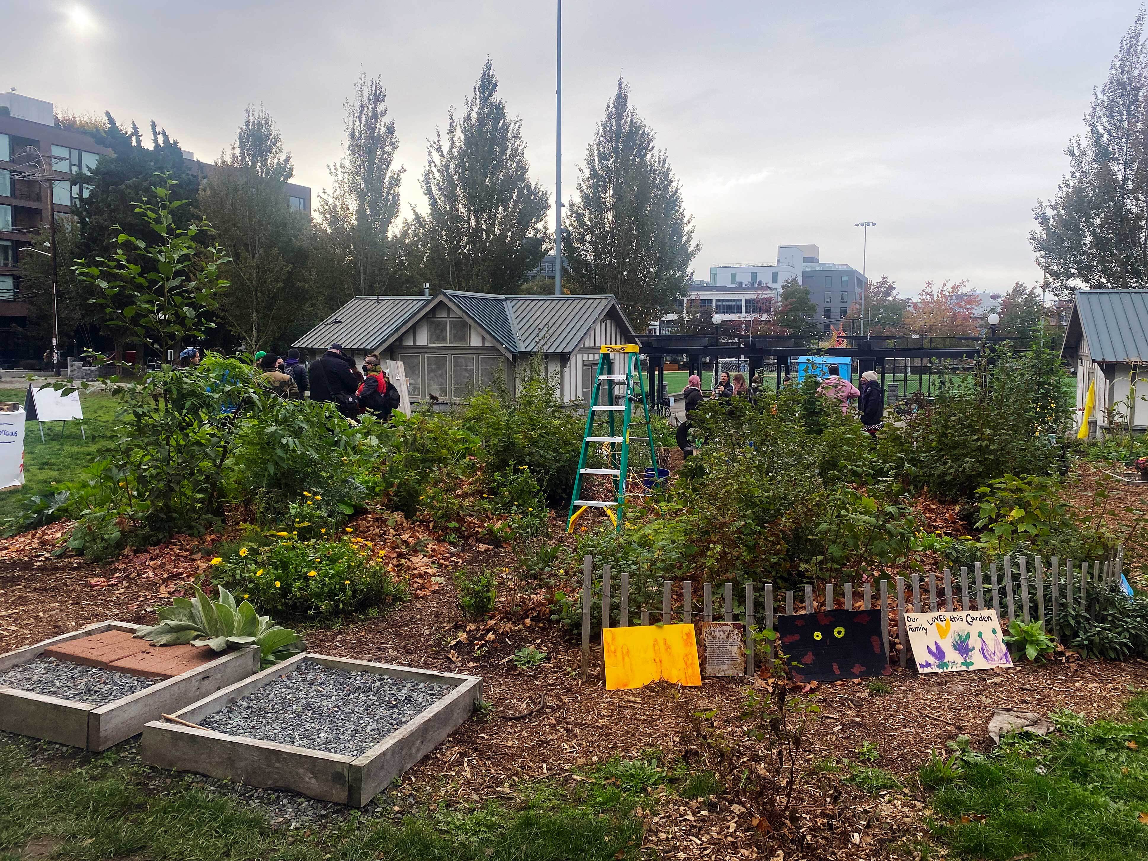 Built during protests, Seattle's BLM Garden fights for its future | KNKX  Public Radio