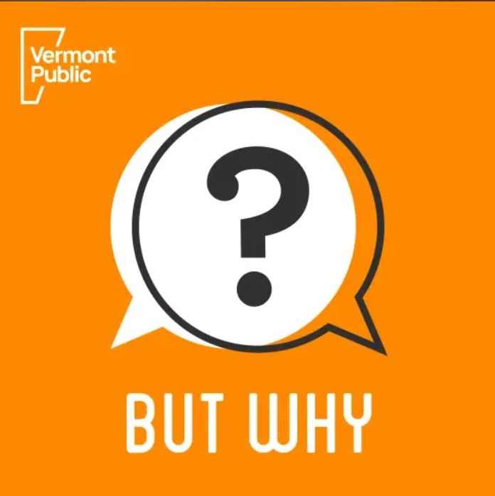 Question mark in speech bubble, But Why logo on orange background