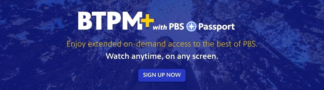 A photo of a man in a plaid jacket admiring the forest around him. There is a dark blue overlay on the photo, and the text says 