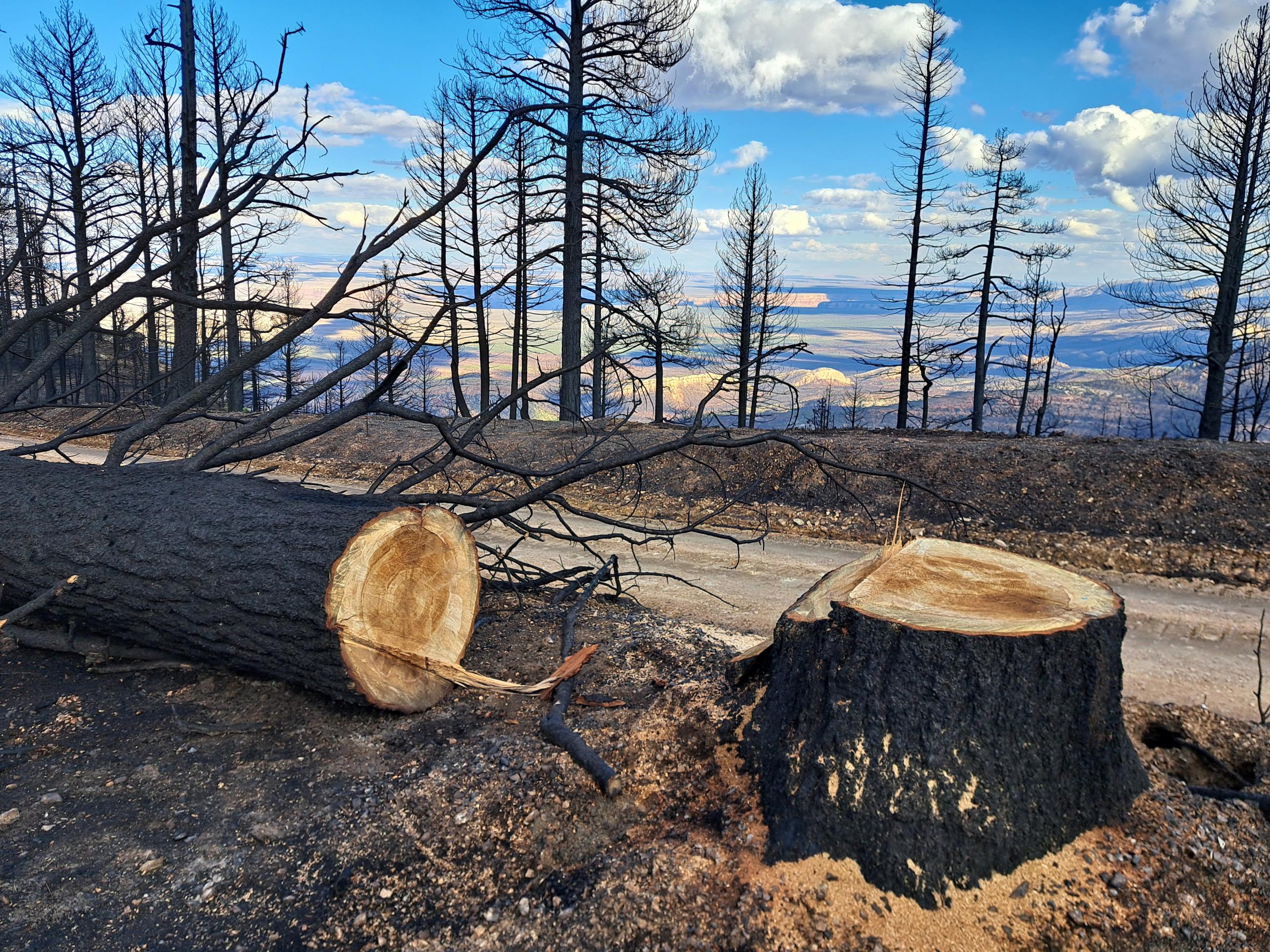 Grand Canyon's North Rim to close Nov. 14 for the season