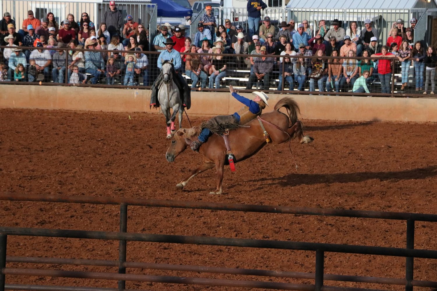 The San Miguel Rodeo rides again - Vimarsana News