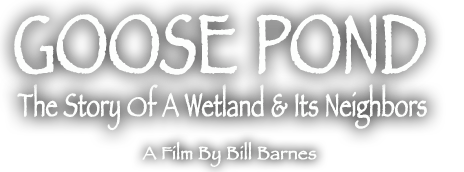 Goose Pond: The Story Of A Wetland and Its Neighbors. A film by Bill Barnes