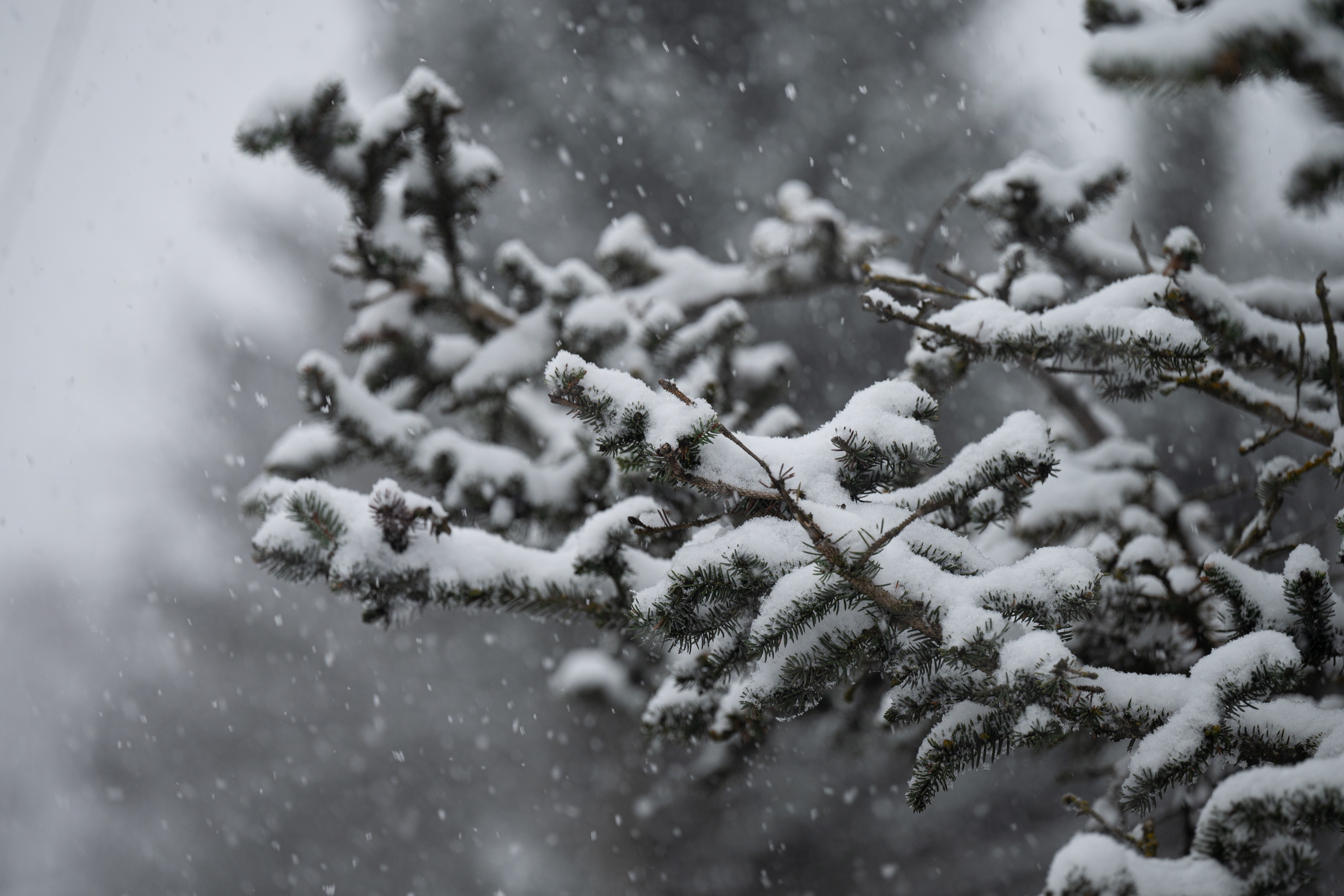 Learning to love the winter | Talk of Alaska