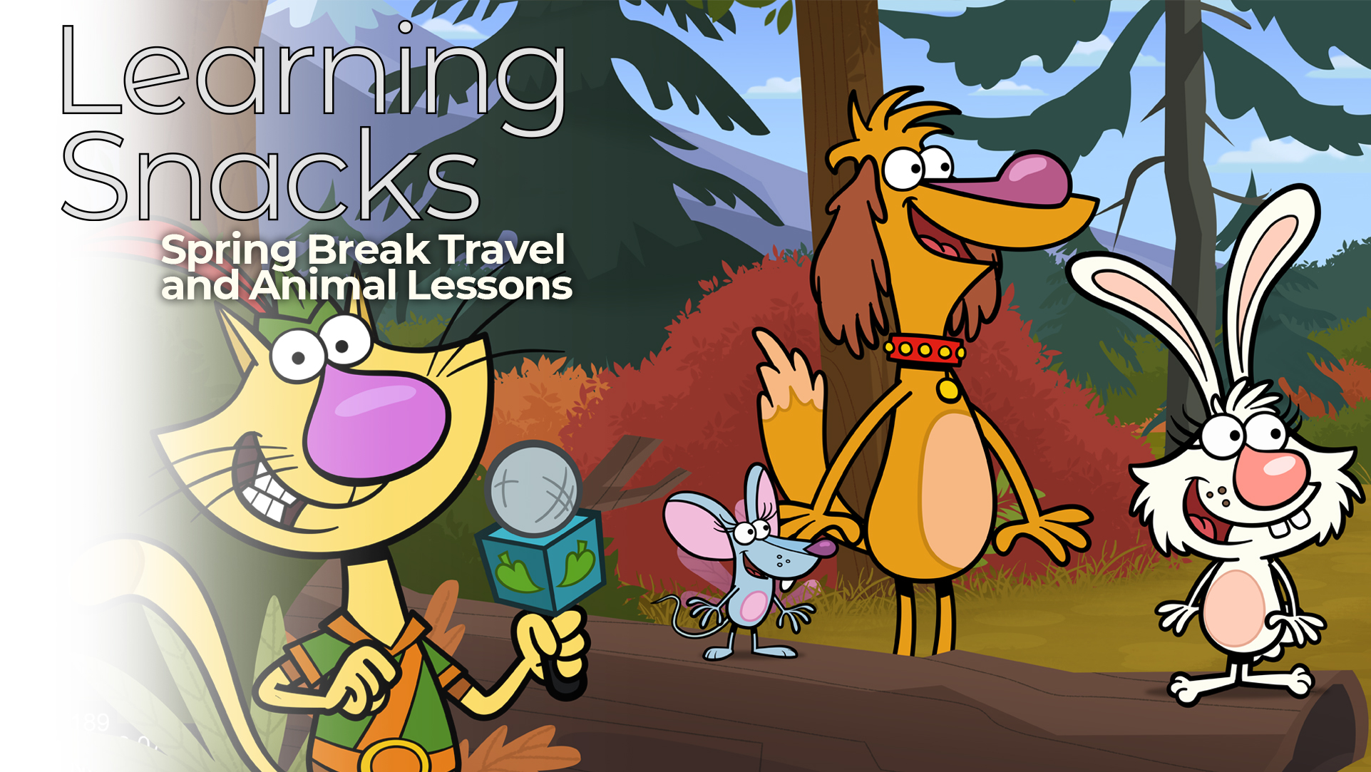 Spring Break Animal Image Animal Spring Break Animation