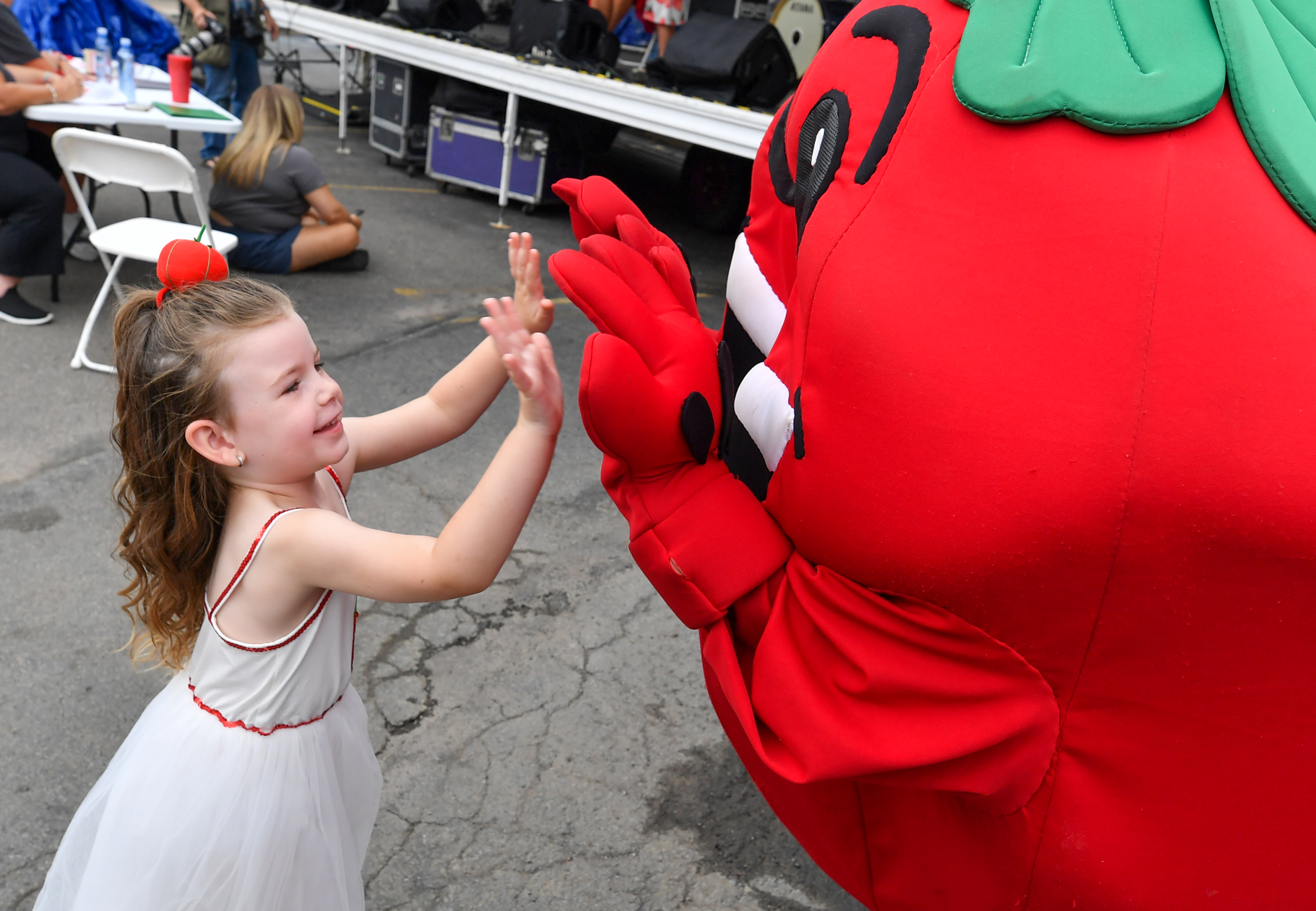邦楽 Strollin with TOMATOS CD 08182024-tomato-fest004.jpg