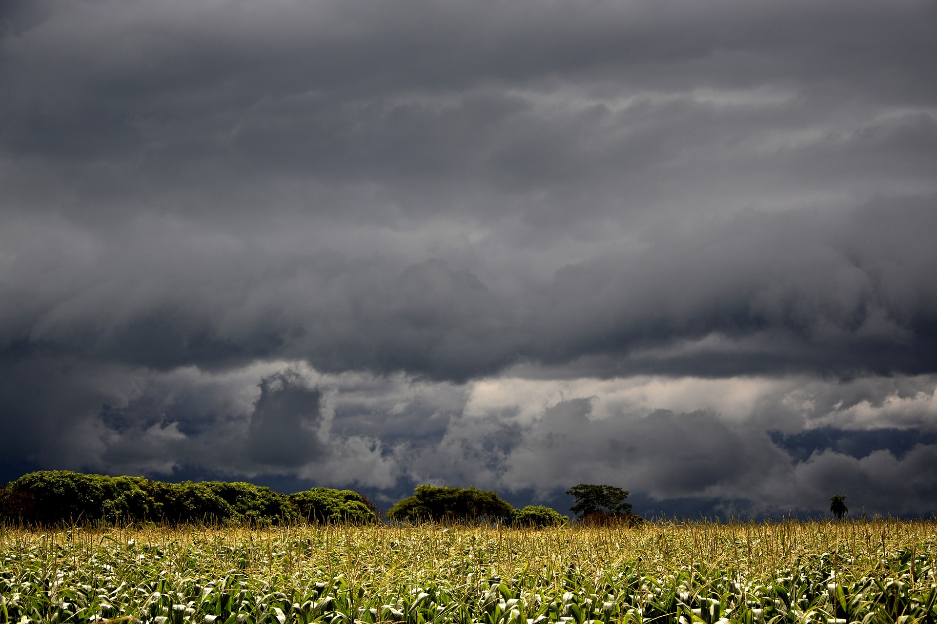 Cloud seeding initiative in drought-stricken Mexico aims to create rain |  TPR
