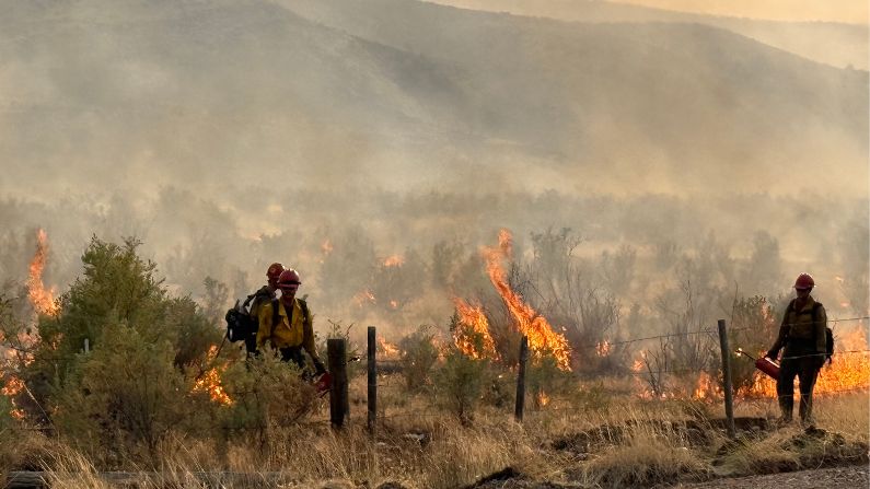 In Wyoming, wildfires burned almost 250,000 acres in 2025