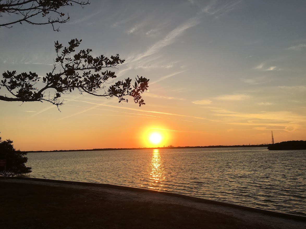 Florida tourism officials remain optimistic despite the recent spread of omicron - Vimarsana News