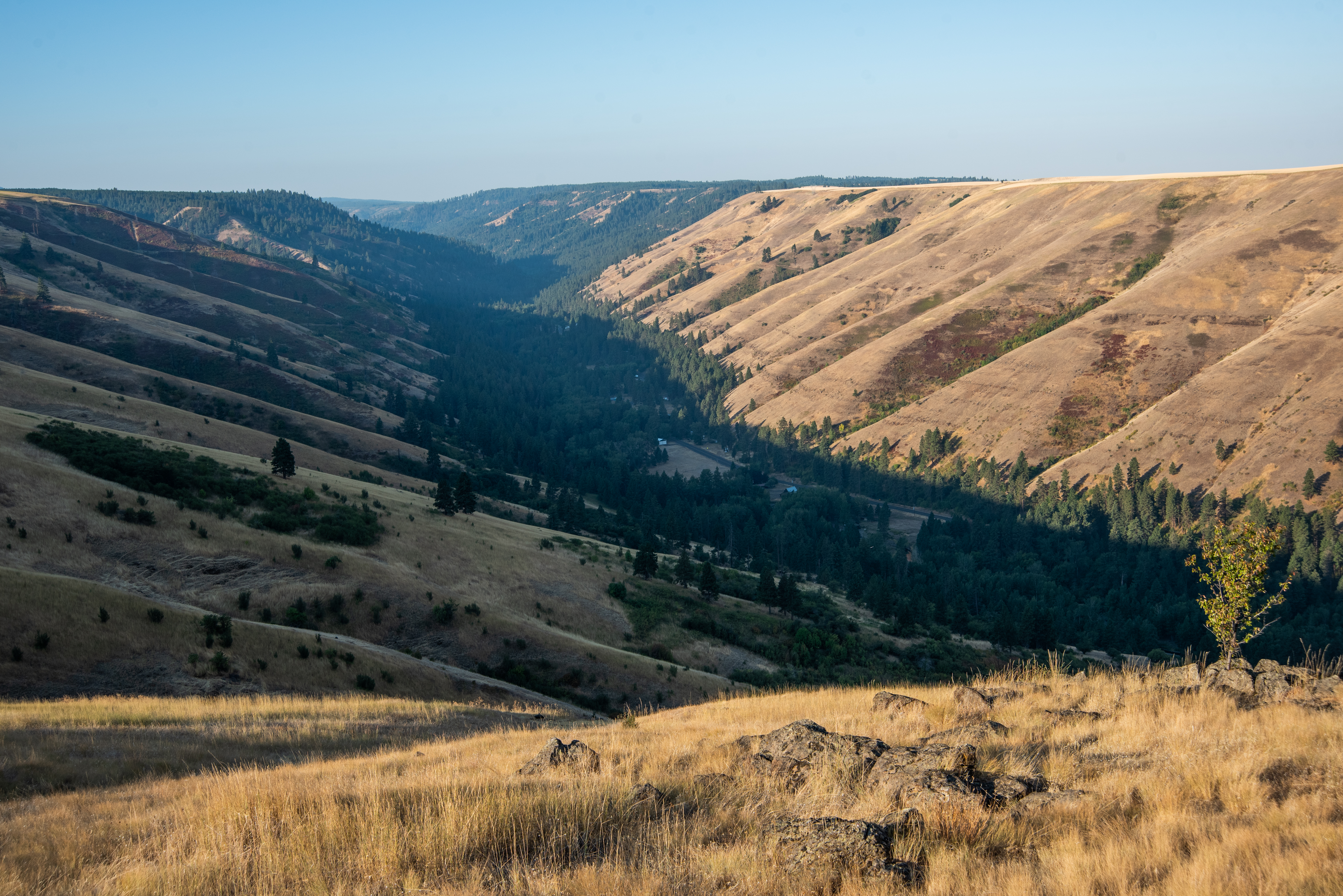 The Rainwater Wildlife Area is shown in the distance on either side of the South Fork Touchet River, about 8 miles south of Dayton, Wash. The Confederated Tribes of the Umatilla Indian Reservation (CTUIR) own and manage the land, which is open to the public, to maintain, protect and enhance fish and wildlife habitat.