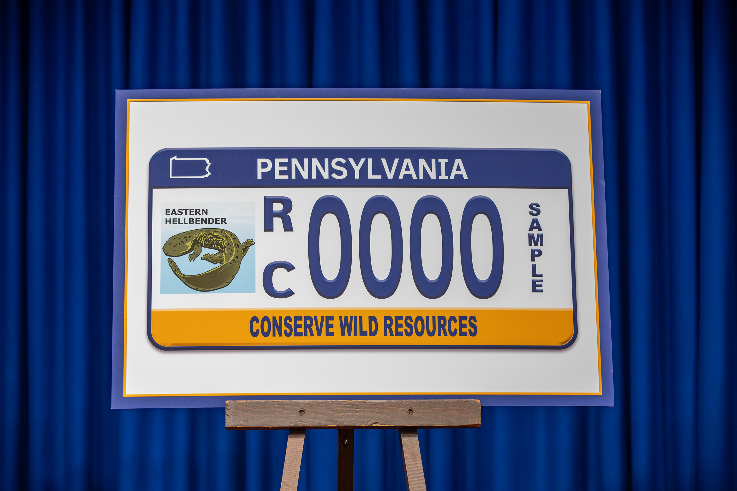 New Pa. license plate supports conservation and the Eastern