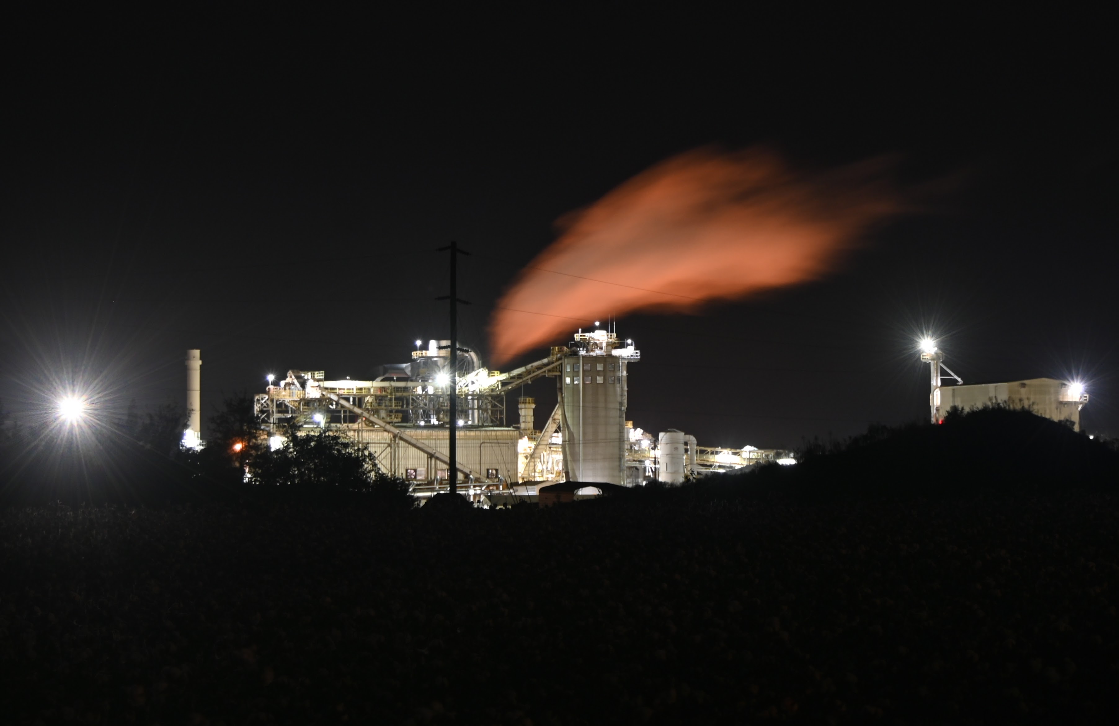 As the wood pellet industry expands in North Carolina, global debate ensues - Vimarsana News