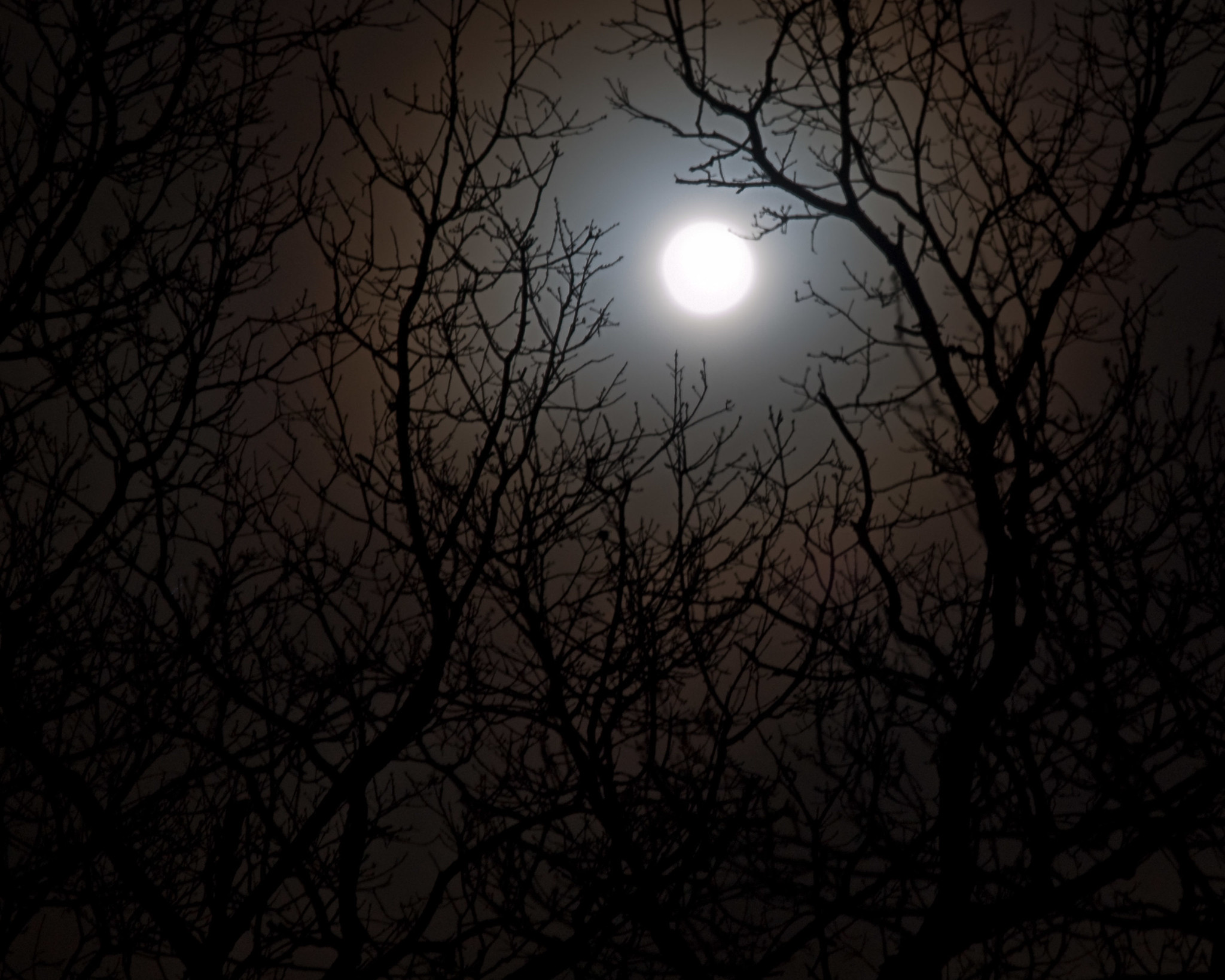 【中古】 At Night They Howl At The Moon Howl At The Moon - Cheryl Wheeler - YouTube