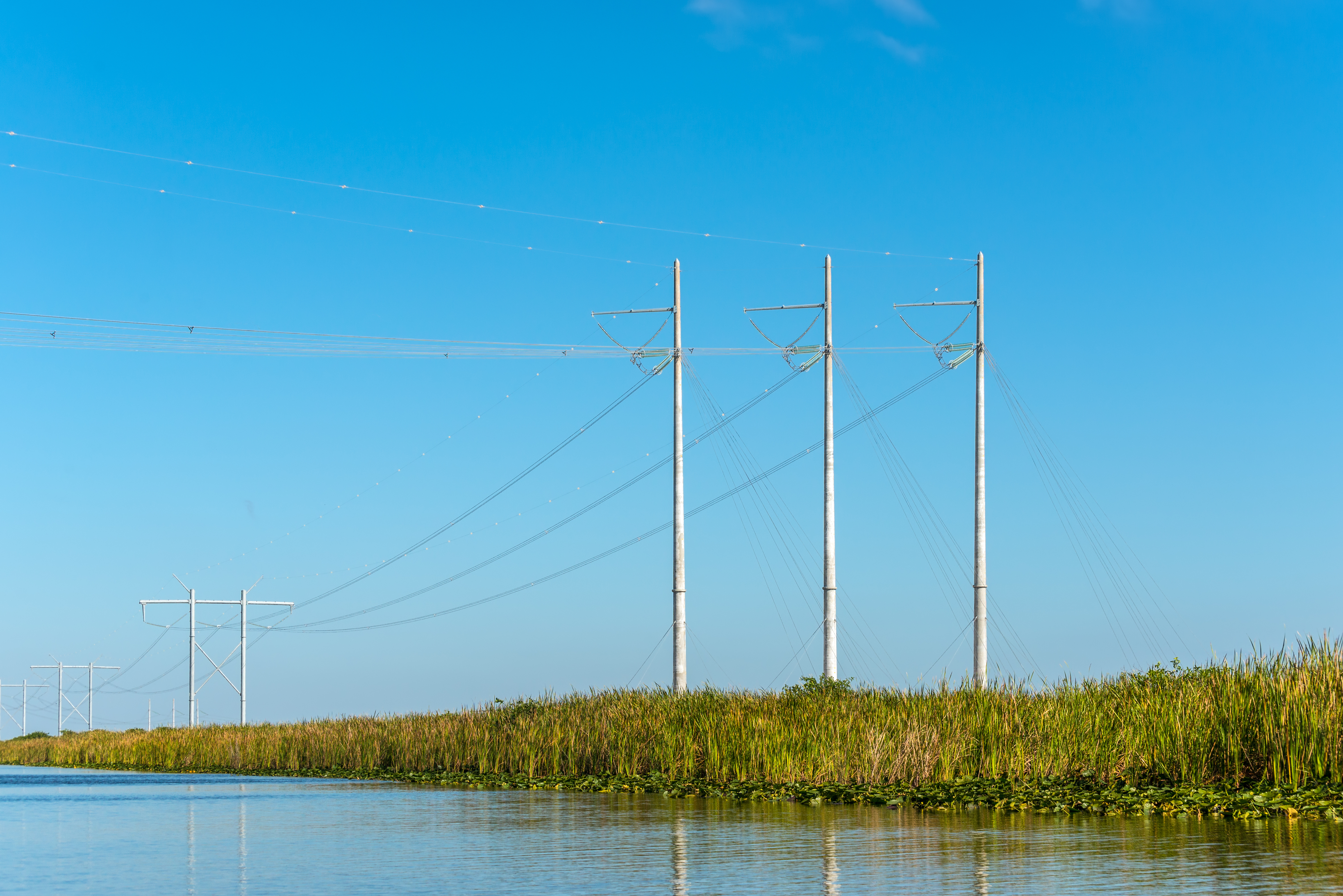 Florida Elected Officials Join Environmentalists In Opposing Utility Preemption Bill - Vimarsana News