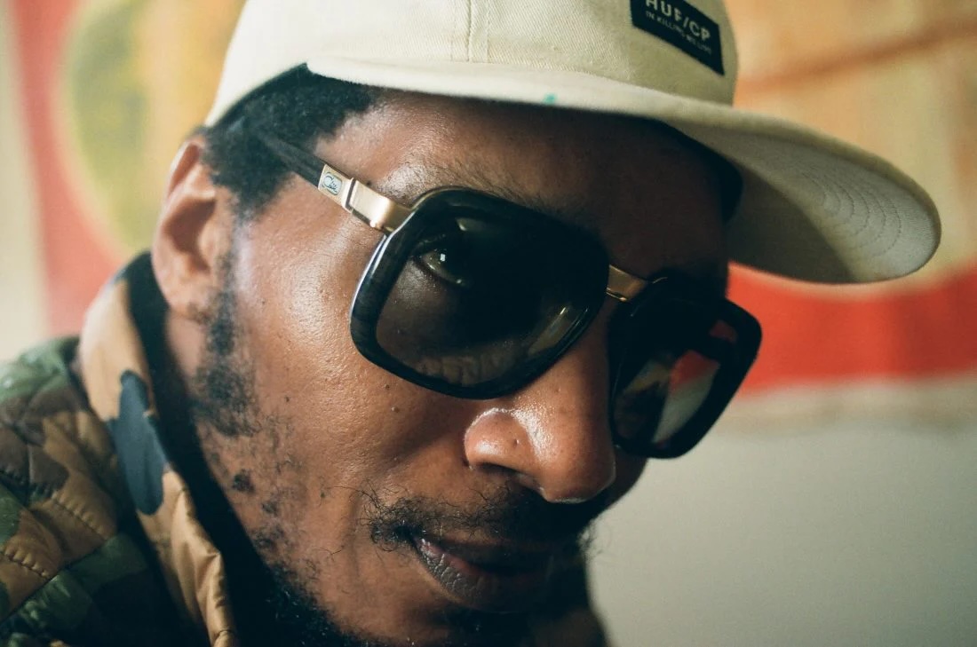 Del the Funky Homosapien: 
