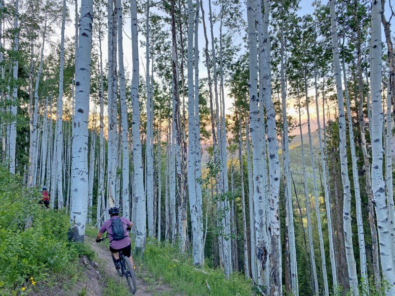 From tragic history to mountain bike park, Coal Basin continues to evolve — and surprise - Vimarsana News