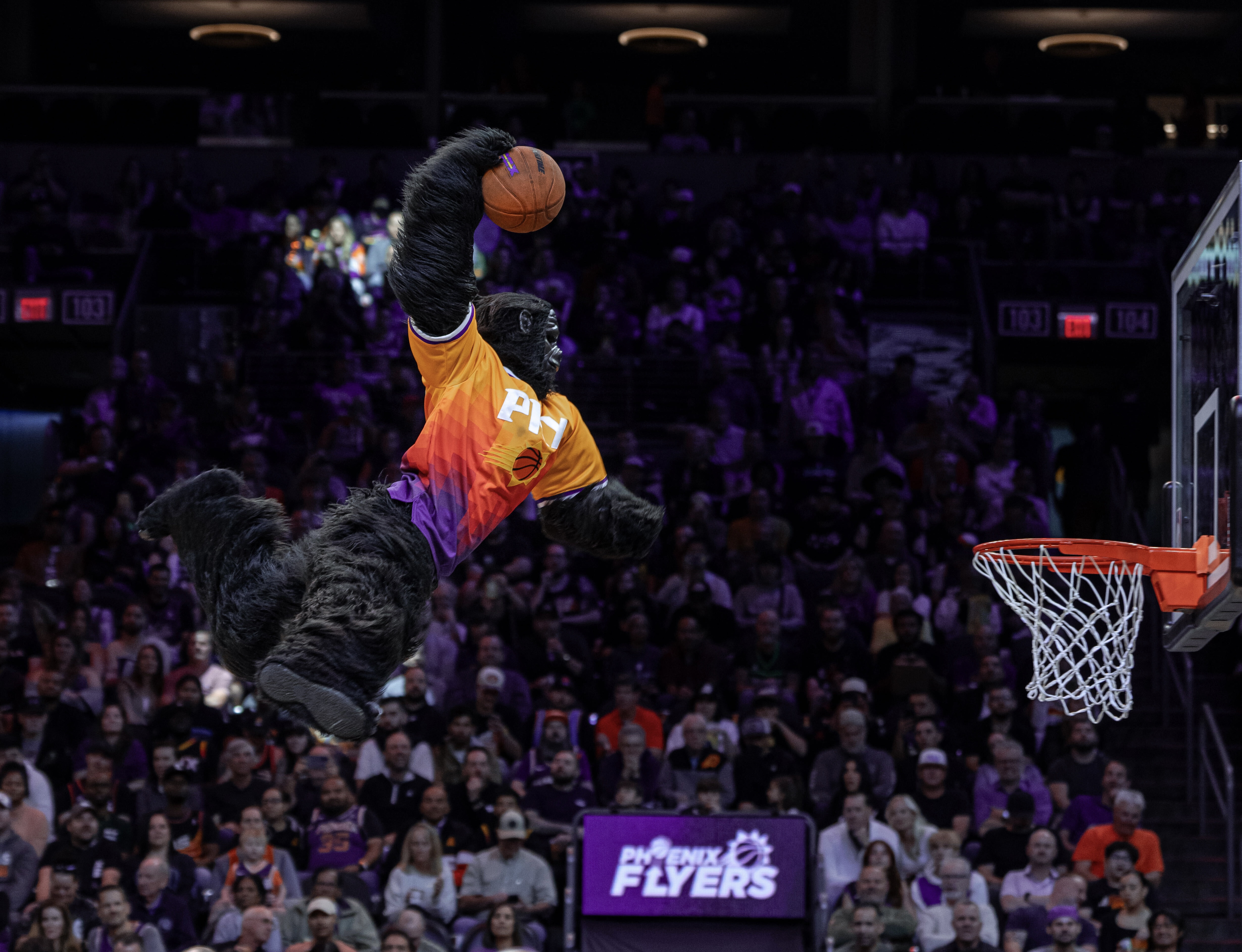 Q&AZ: Why do the Phoenix Suns have a gorilla for a mascot?