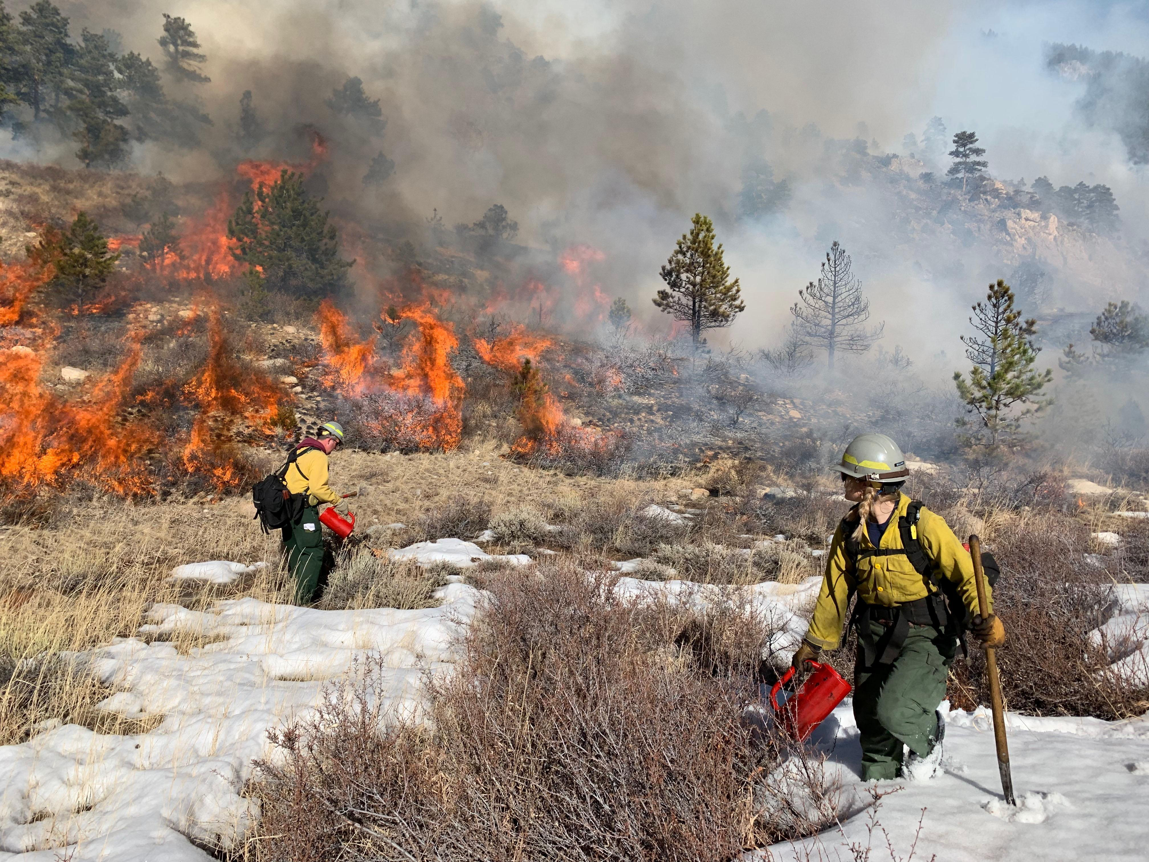 Forest Service plans to thin and burn millions of acres to mitigate more extreme wildfires - Vimarsana News