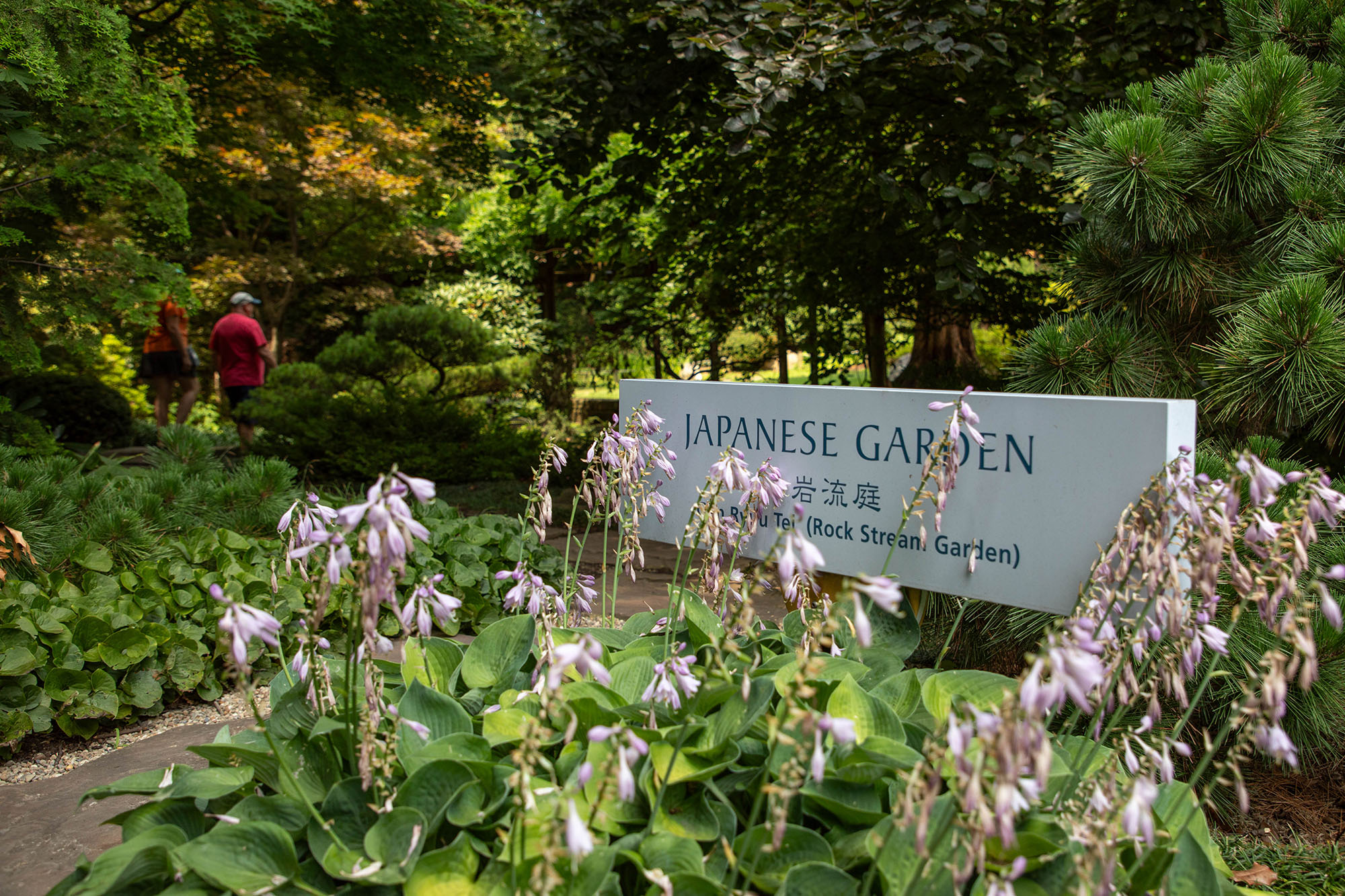 Cleveland's Japanese Garden is celebrating its 50th
