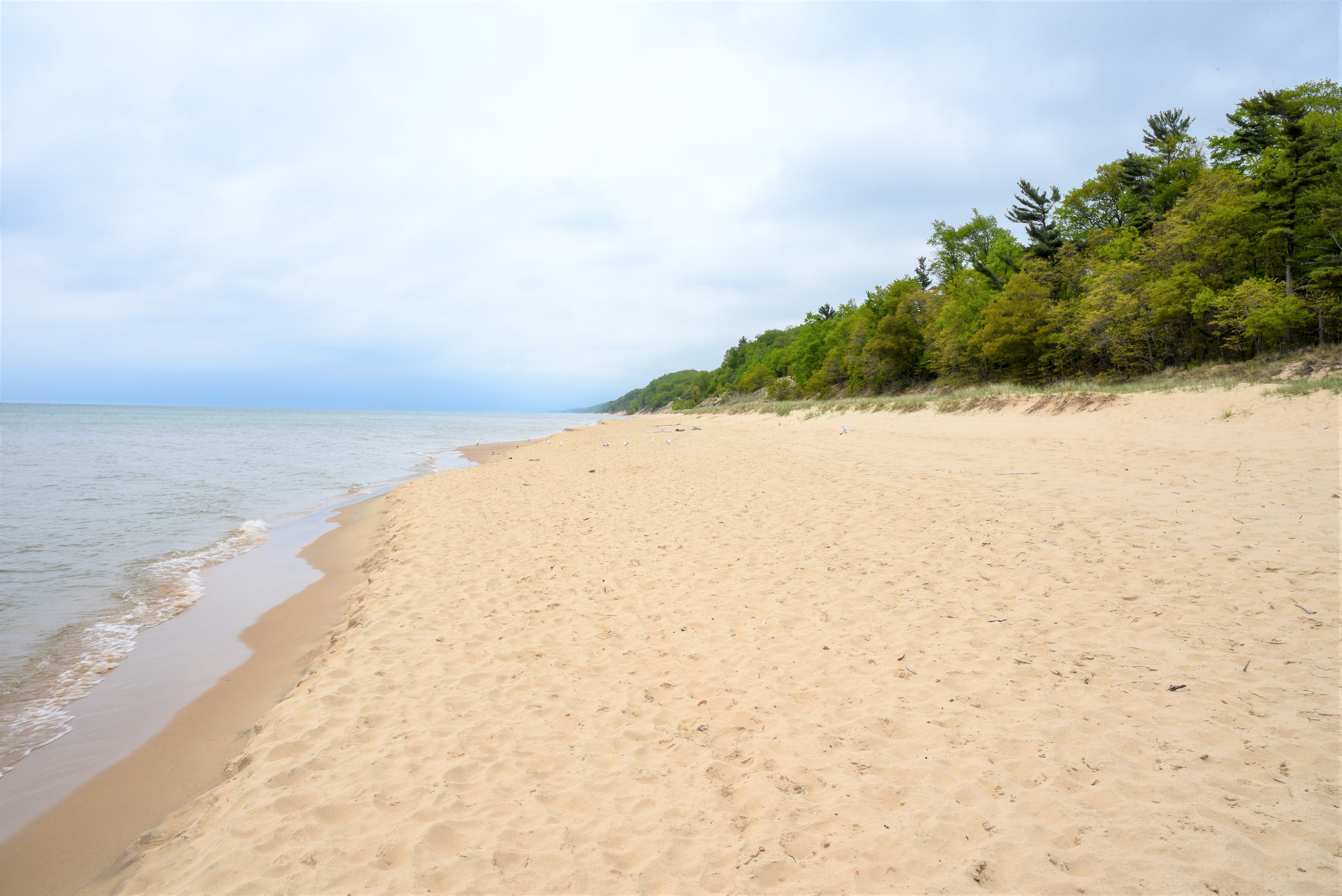 Lake Michigan Shore