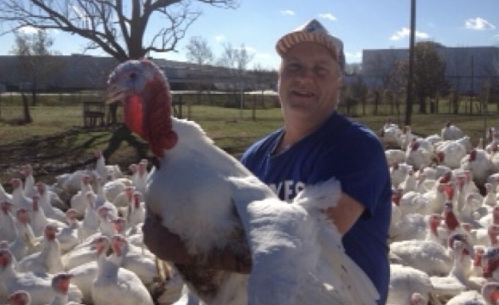 From free range to table, Kentucky turkey farm helps make Thanksgiving special - Vimarsana News
