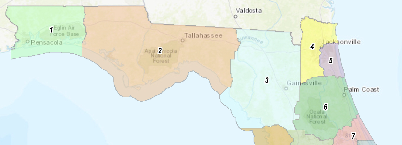 DeSantis' congressional map revived after appeals court ruling - Vimarsana News