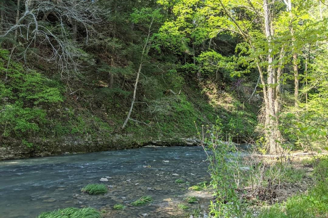 Indiana dedicates $25 million to acquiring land for conservation areas - Vimarsana News