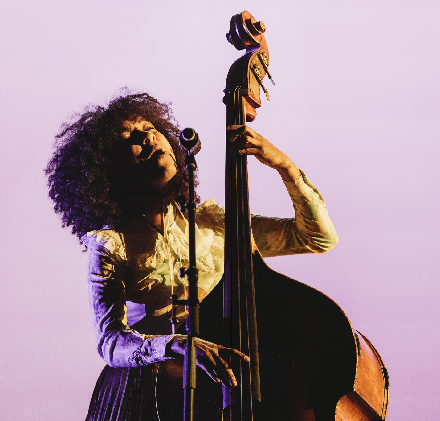 Esperanza Spalding レコード　2枚組 Esperanza Spalding - Esperanza | eBay