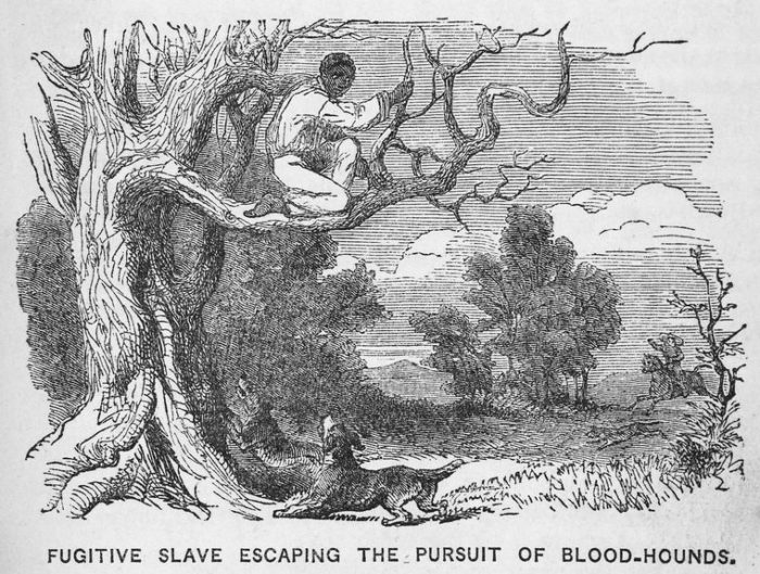 Mr Raoul K – Still Living In Slavery Justice for the 'foremother of the reparations movement