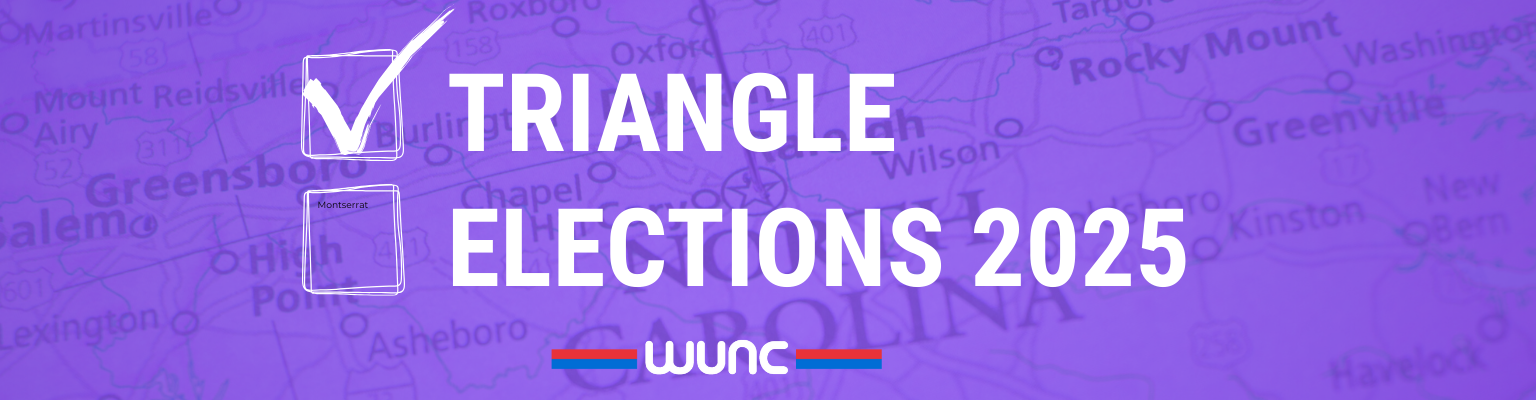 Triangle Elections 2025
