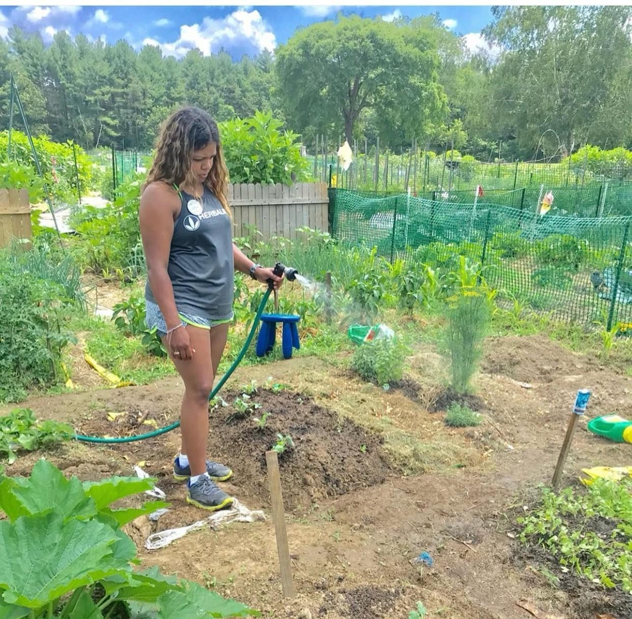 Una mamá en Nashua nos cuenta cómo empezar a sembrar desde casa este verano  | New Hampshire Public Radio, image size:1242x1218