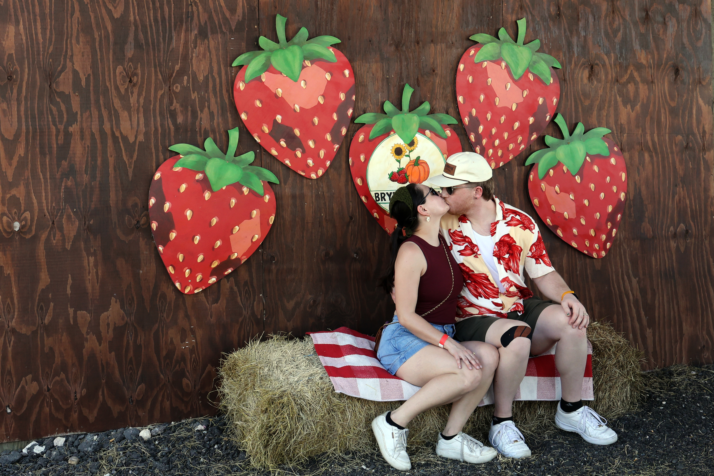 Photo gallery: Strawberry Festival