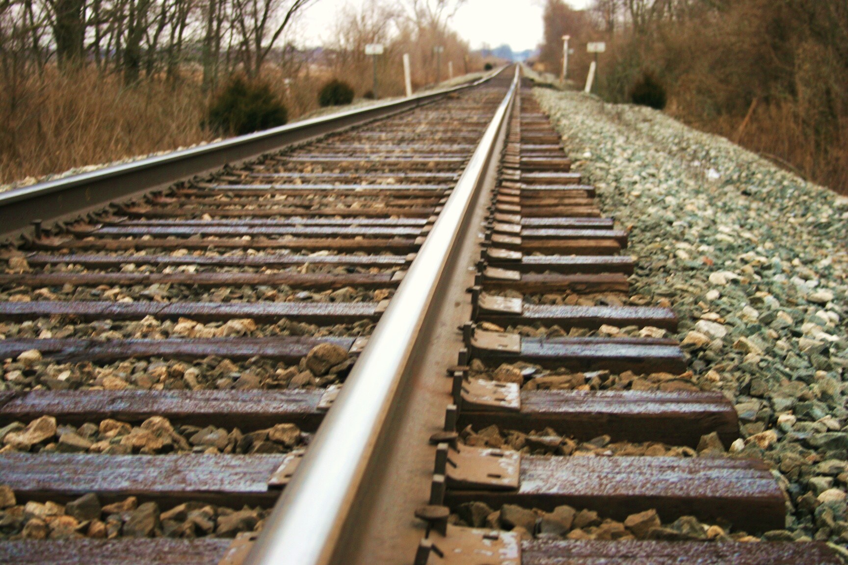 Railroad tracks leading into the distance