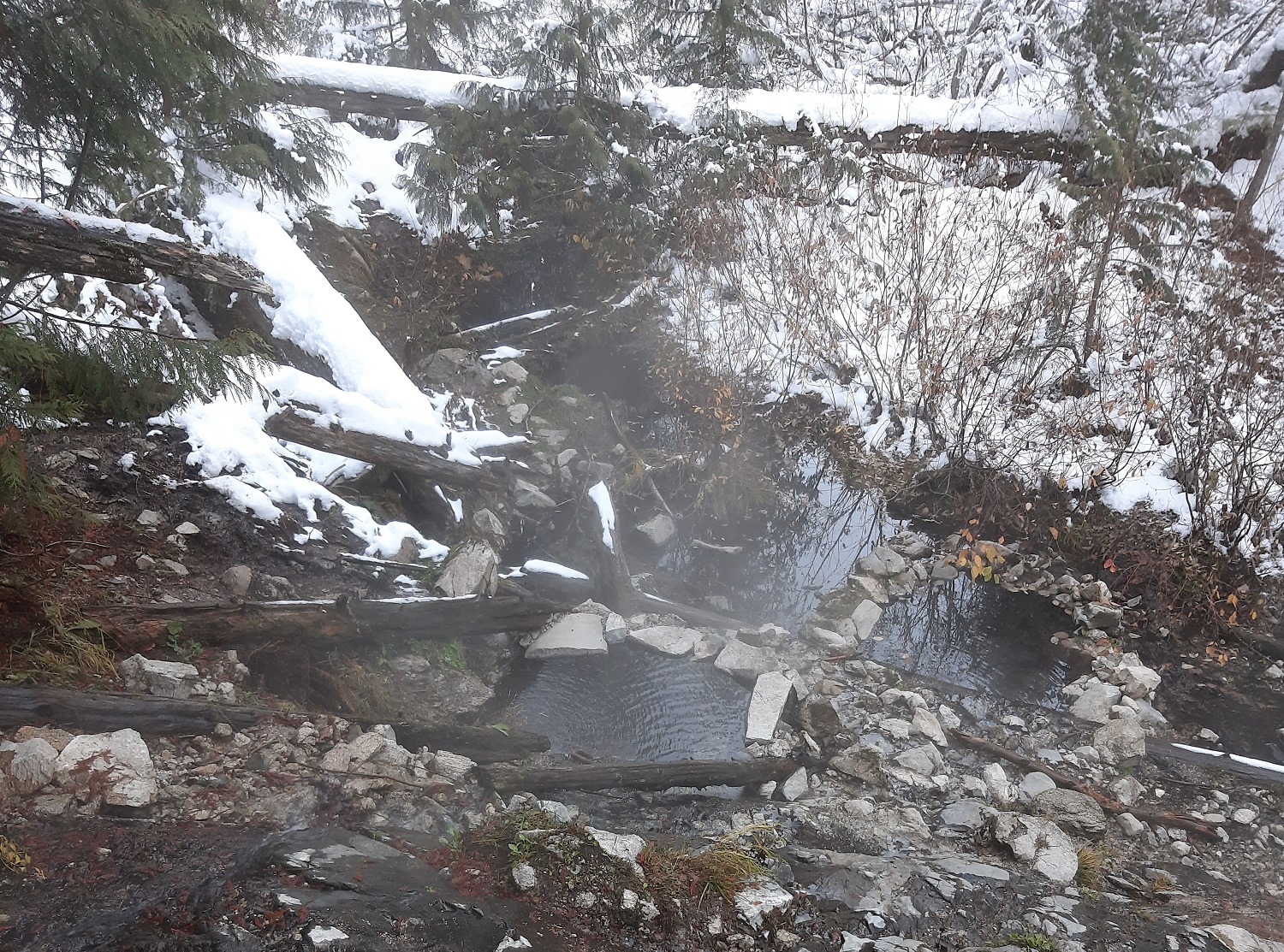 Camping ban at two hot springs follows concerns over safety, vandalism and drugs, Forest Service says - Vimarsana News