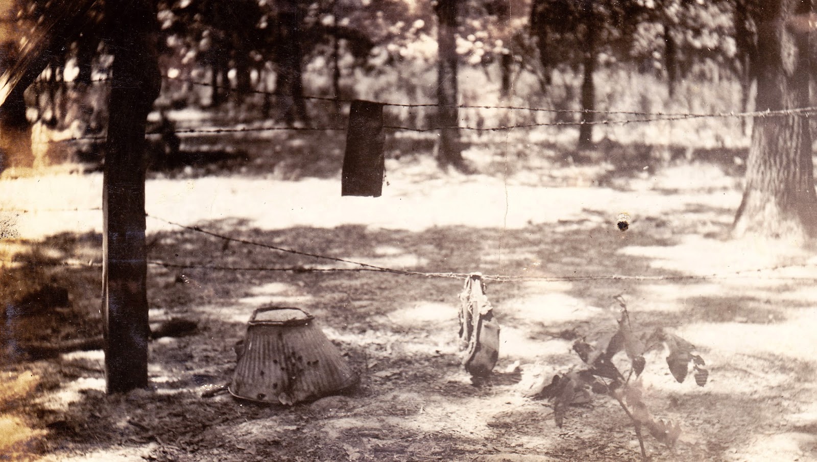 Statewide: A century after the Herrin Massacre - Vimarsana News