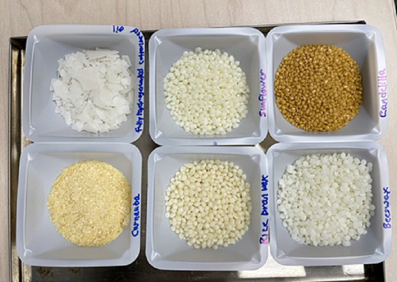 Illinois Agriculture Lab develops healthier butter (like) spread - Vimarsana News