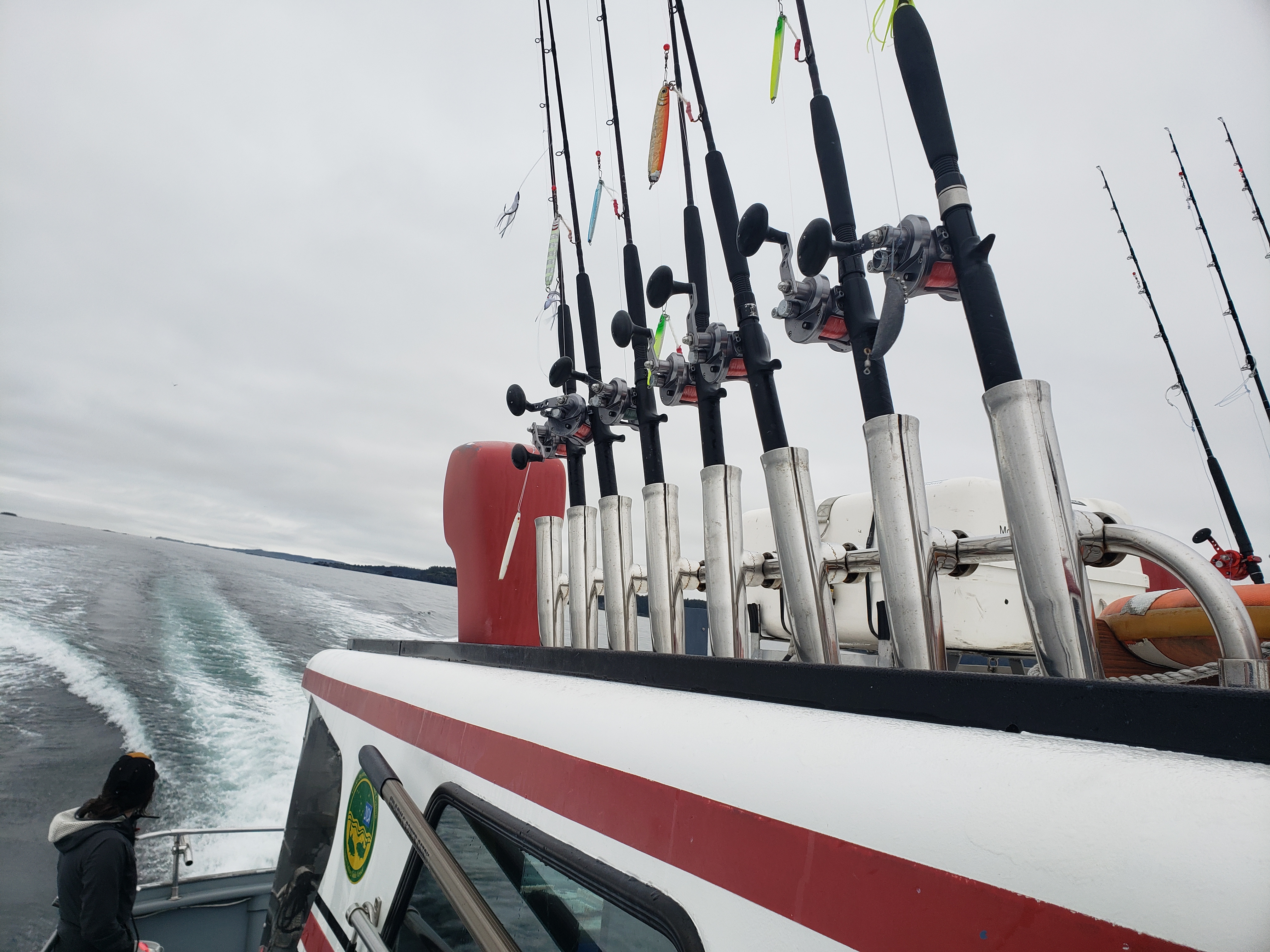 best fishing pole for king salmon Best Rod For Australian Salmon Pacific Salmon King Salmon Fishing Rod And  Reel Trout Best Salmon