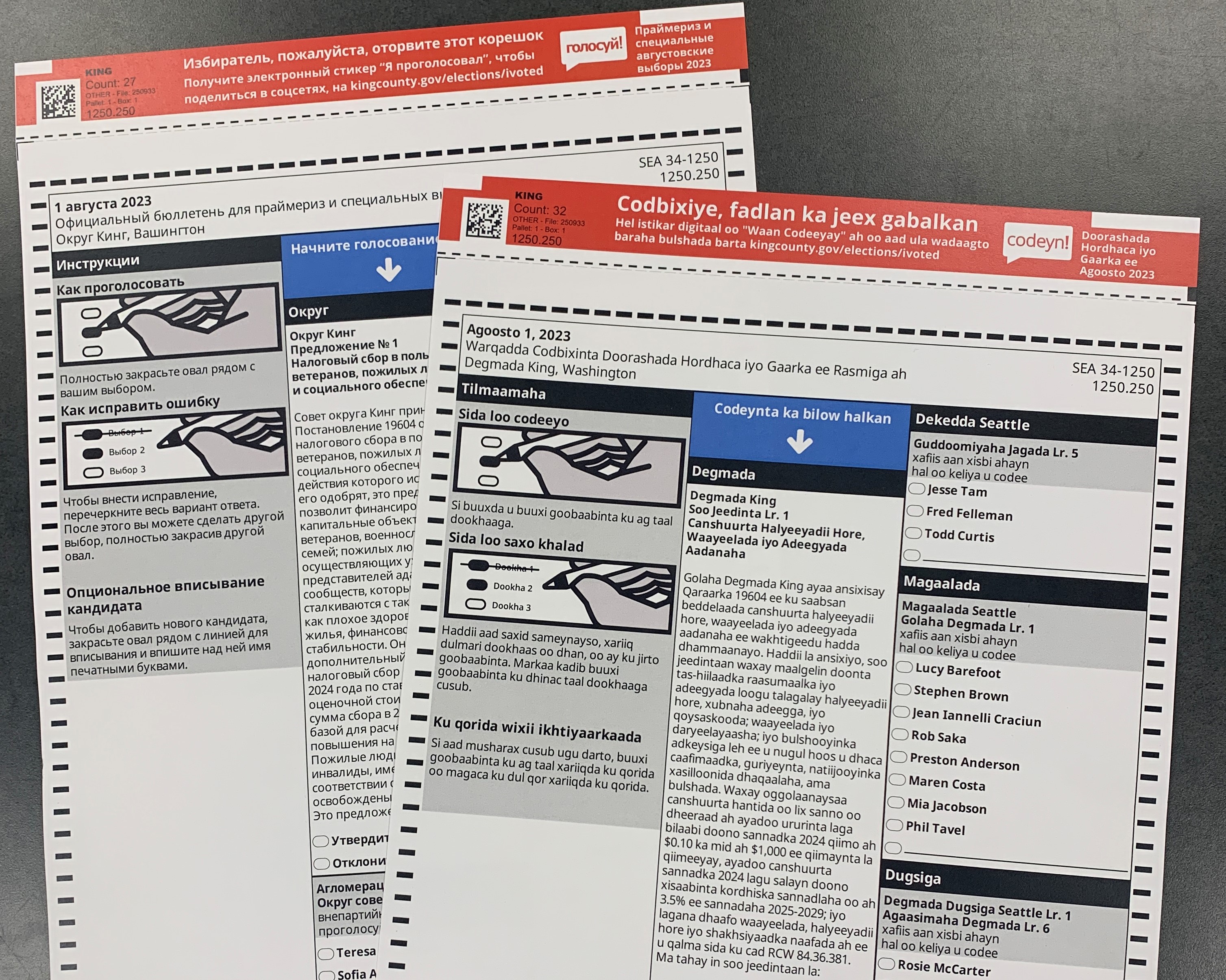 King County begins offering ballots in Somali and Russian | KNKX Public Radio king-county-begins-offering-ballots-in-somali-and-russian-knkx-public-radio