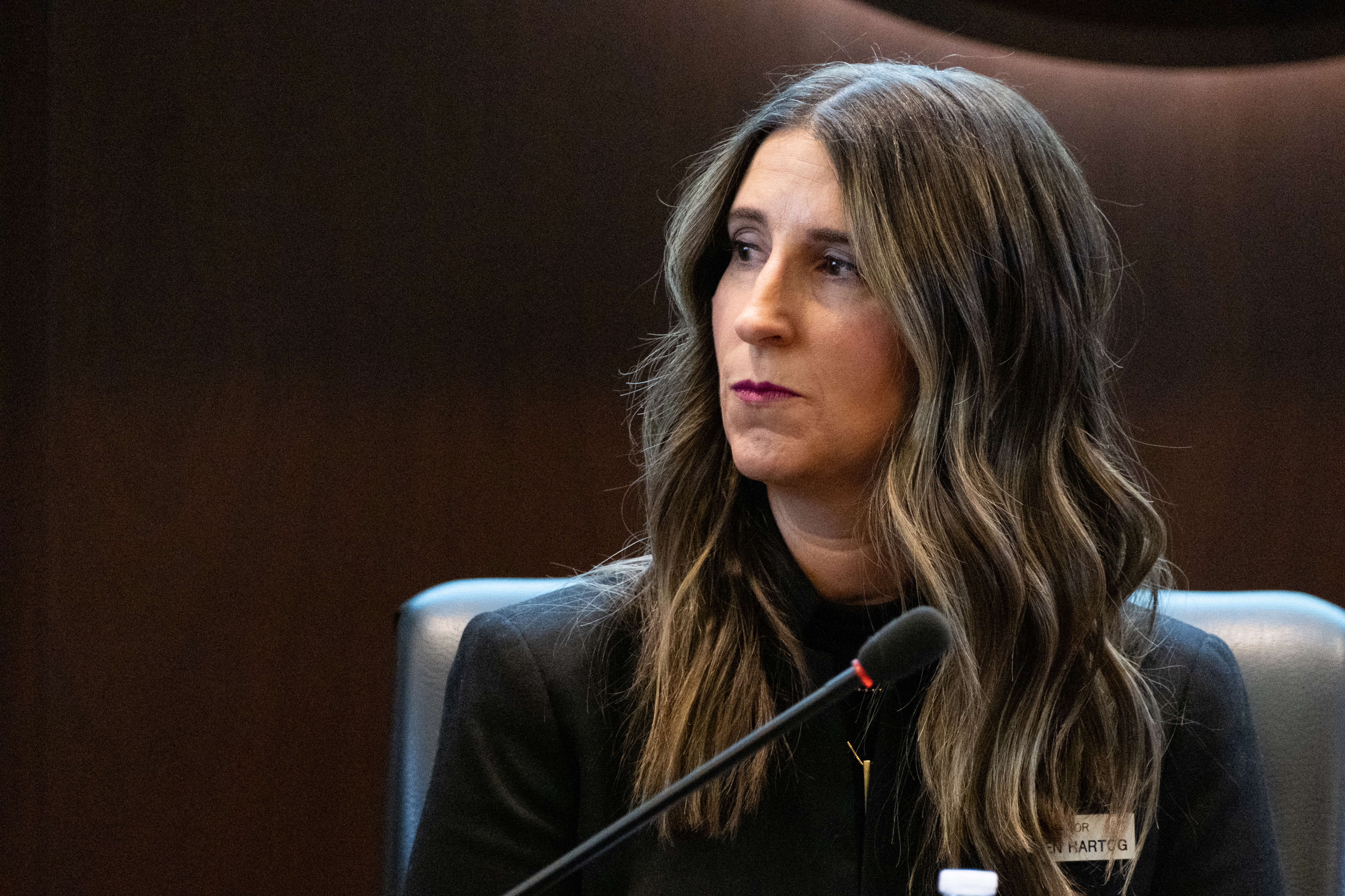 Idaho political leaders preview 2024 legislative session | Boise State Public  Radio