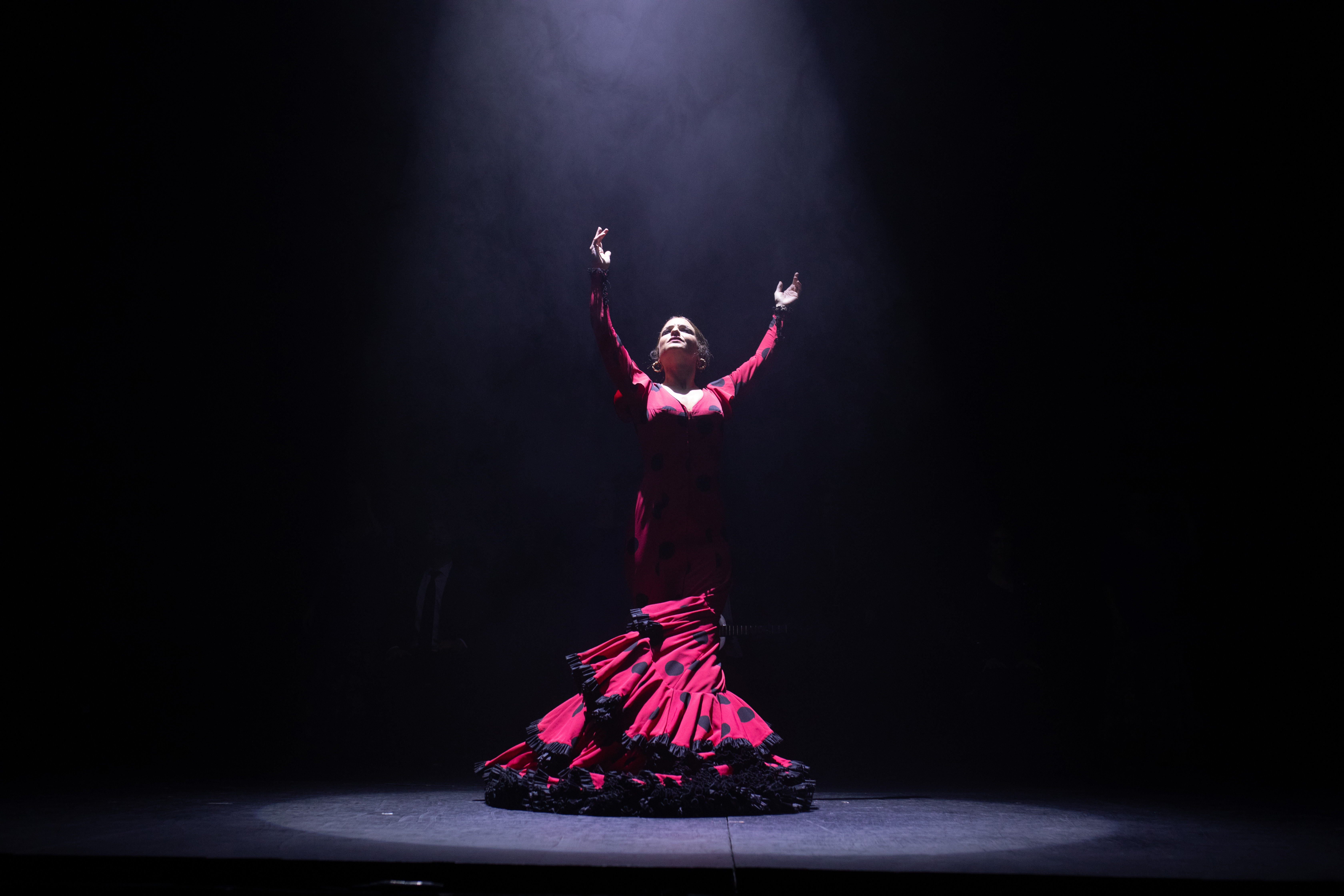 ミュージシャン Legends of Folklore Argentino, Flamenco ミュージシャン Legends of Folklore Argentino, Flamenco