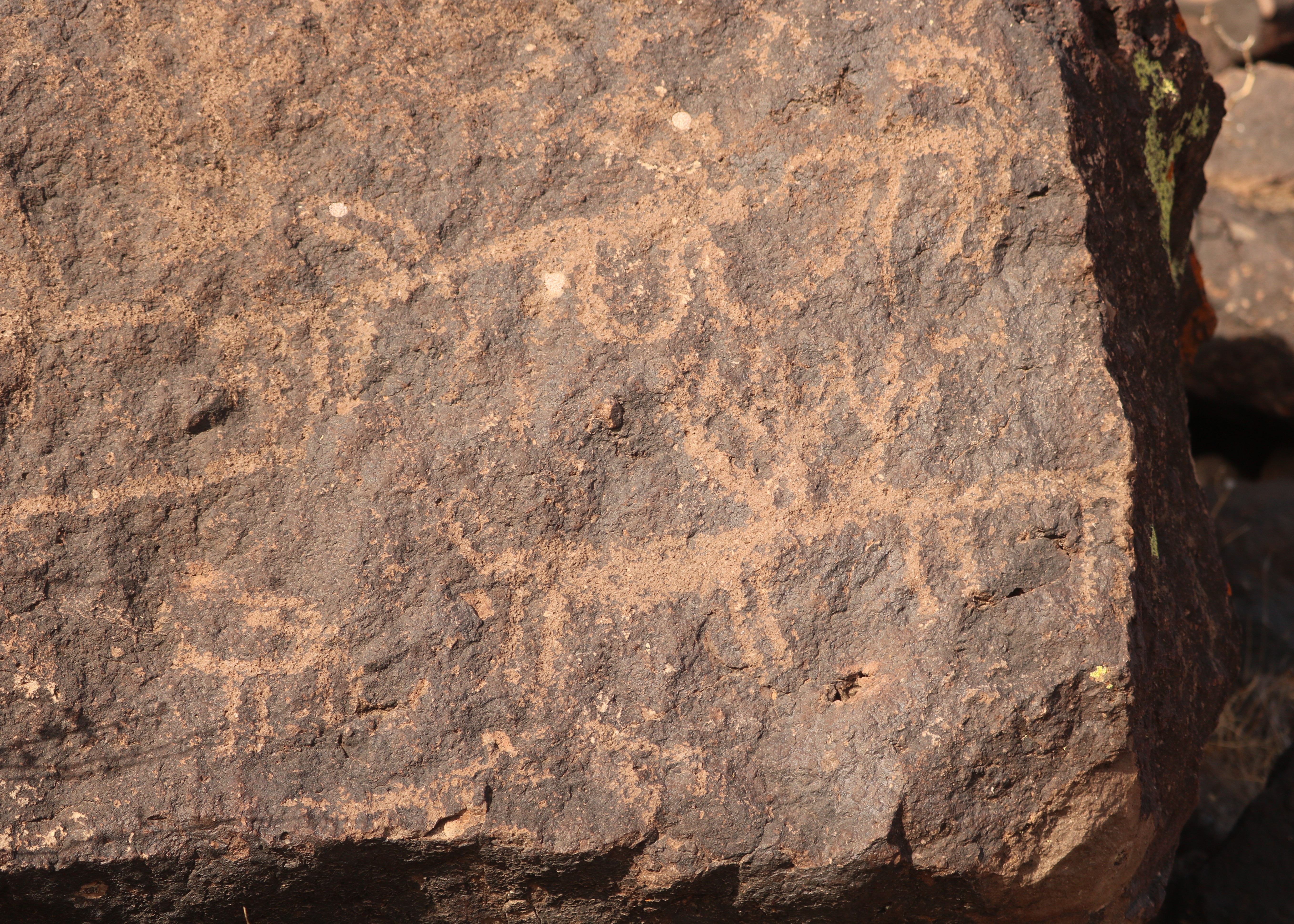 Un bestiario de la prehistoria　ペトログリフ This hidden petroglyph preserve in metro Phoenix is getting a new