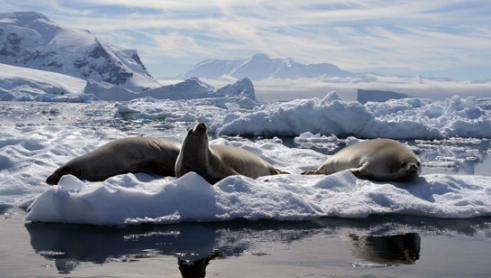 UNCW researchers travel to Antarctica to study impacts of climate change and more - Vimarsana News