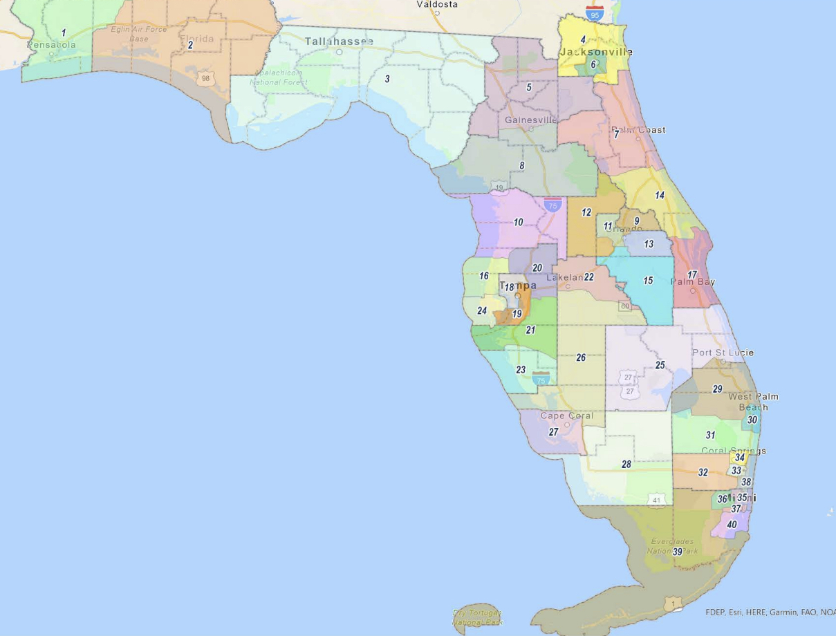 A Florida Senate committee will consider two draft electoral maps before they get a floor vote - Vimarsana News