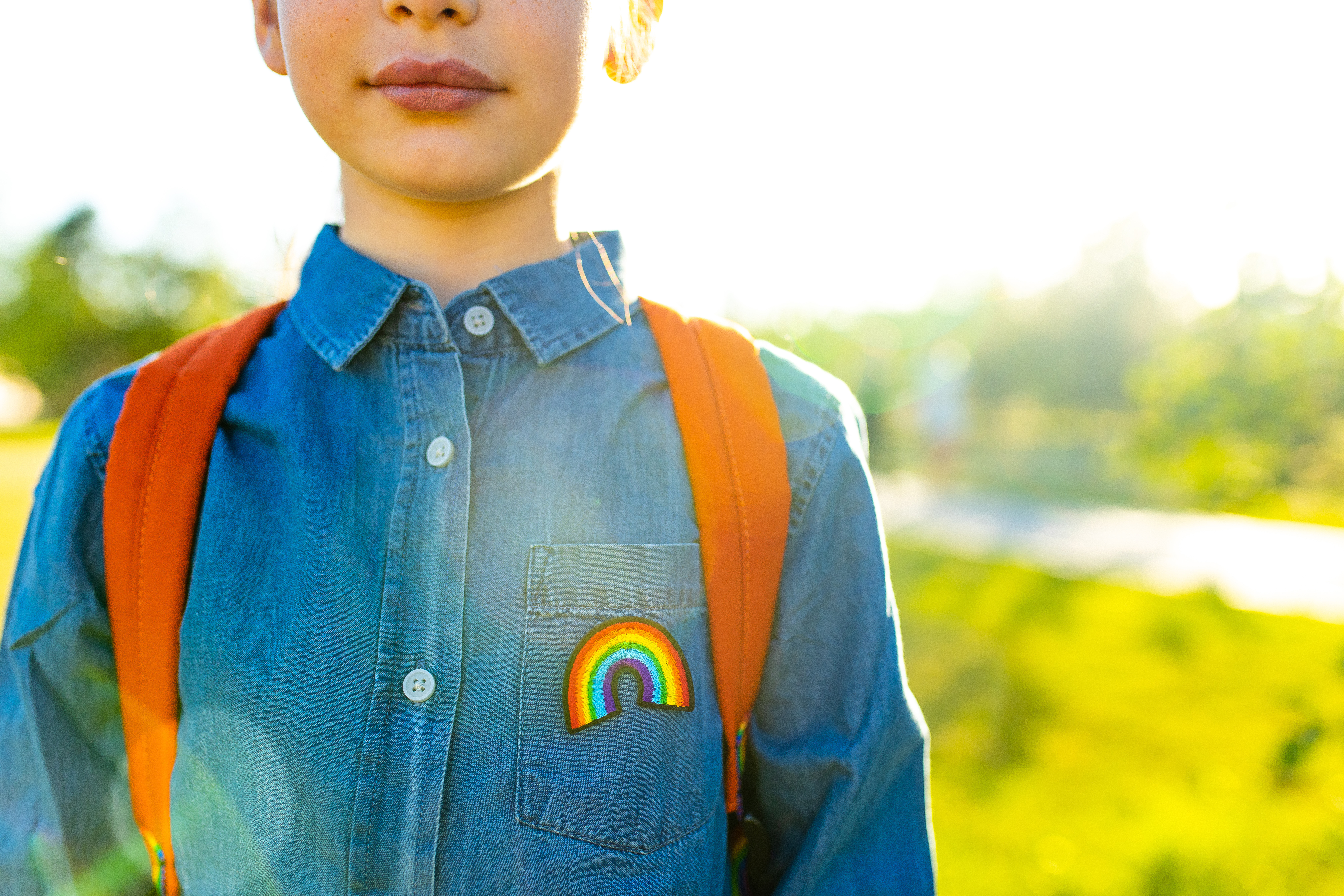 Leon and other Florida school districts are revising their LGBTQ student support guides - Vimarsana News