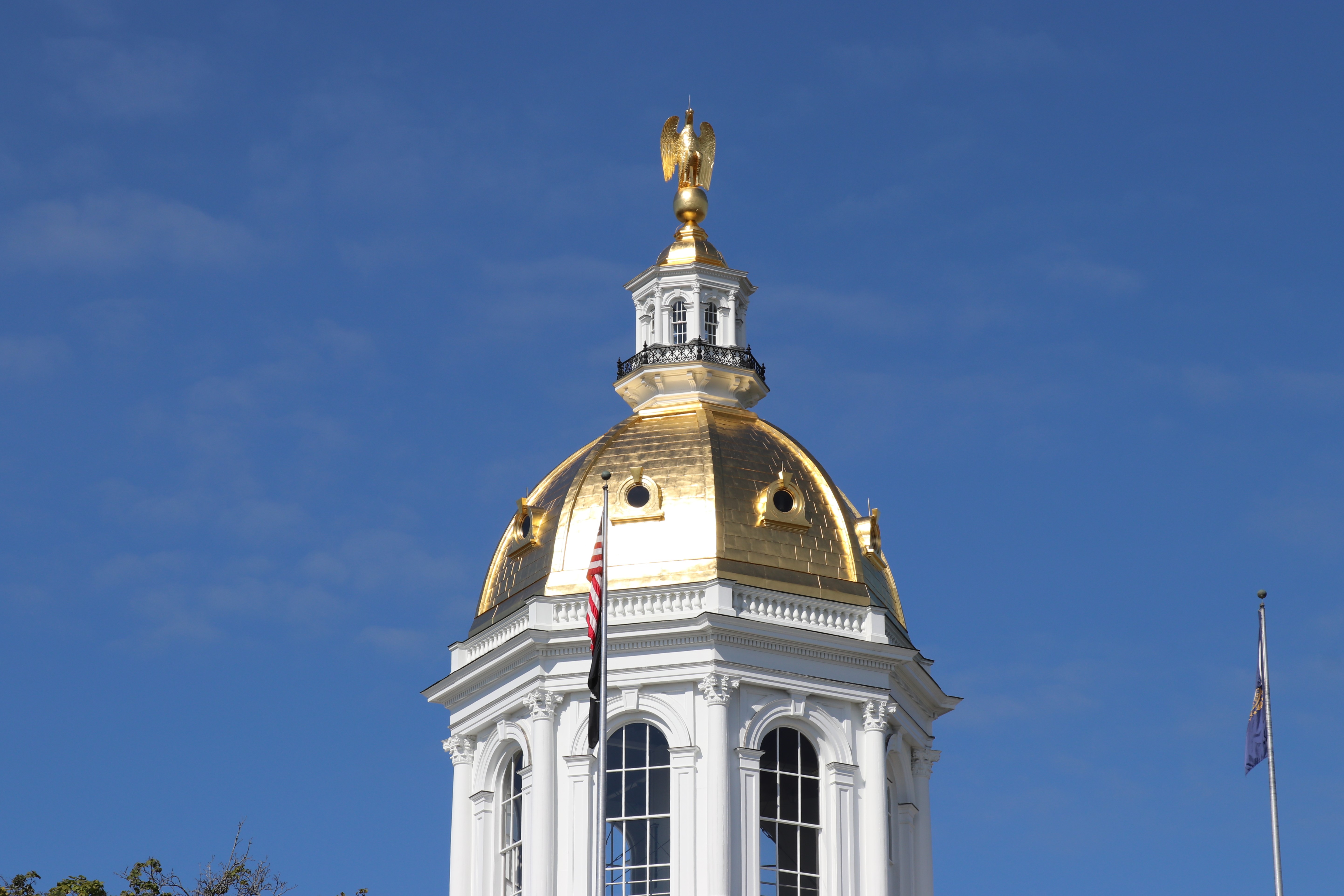 nhpr.org - Molly Rains, New Hampshire Bulletin - Bill including solar-charged batteries in net metering heads to Ayotte's desk